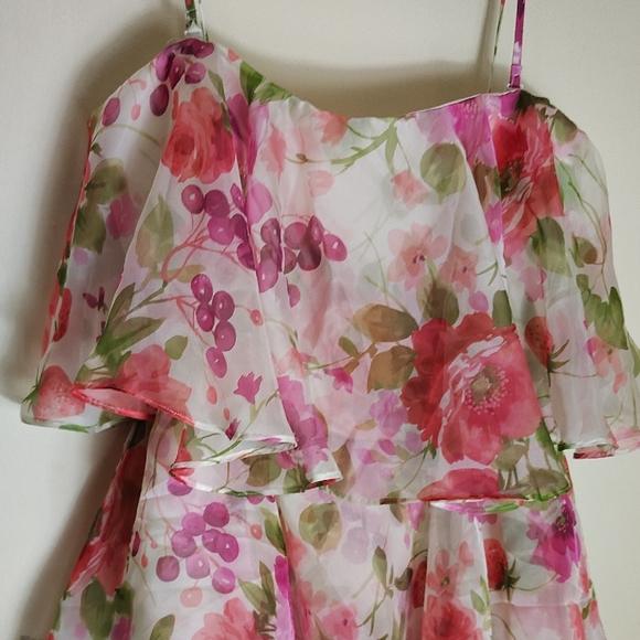 Abercrombie & Fitch Floral Dress - Picture 3 of 5